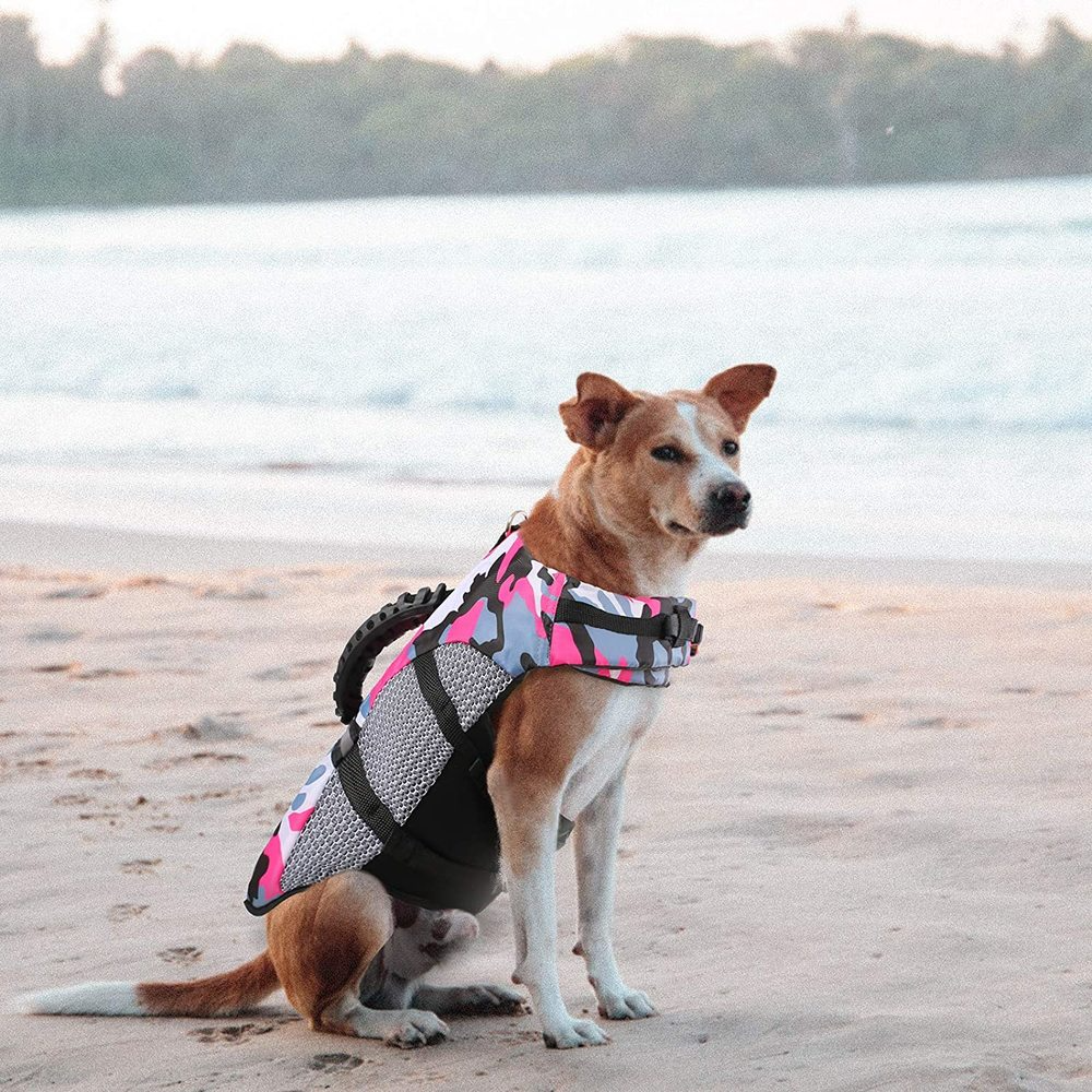 Moda Outdoor Dog Training Roupas Swimwear