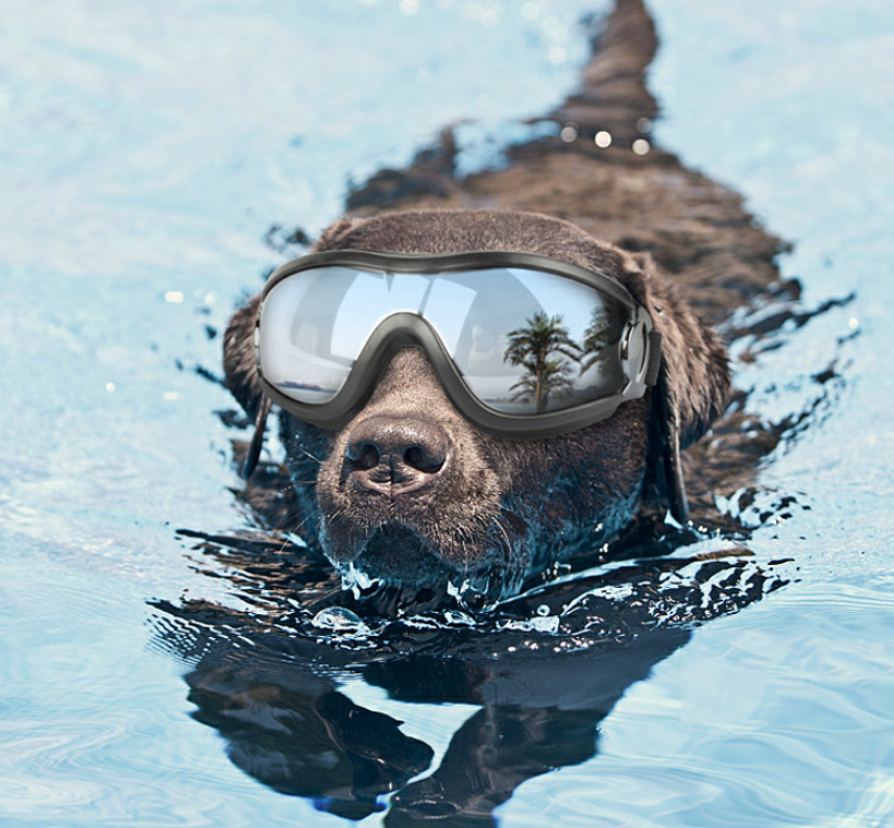 Waterproof Dog goggles