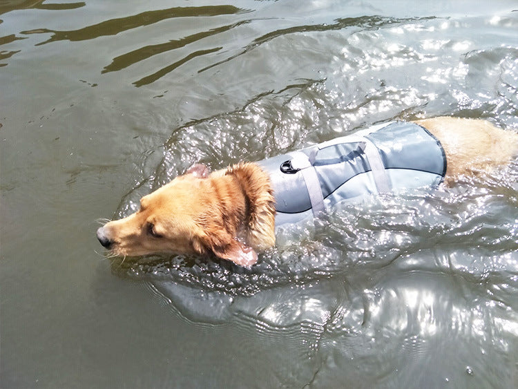 Chaleco salvavidas para mascotas