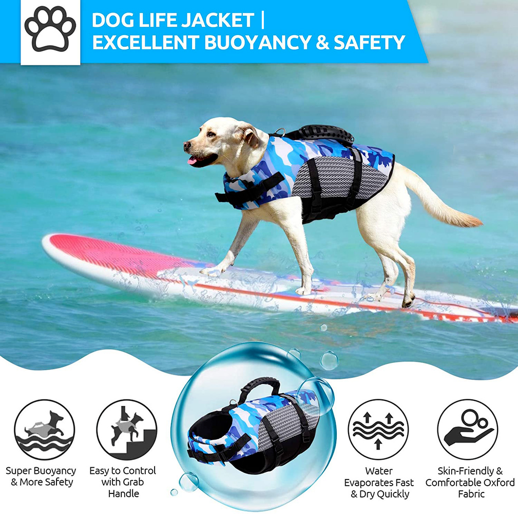 Fashion Outdoor Dog Training Clothing Swimwear